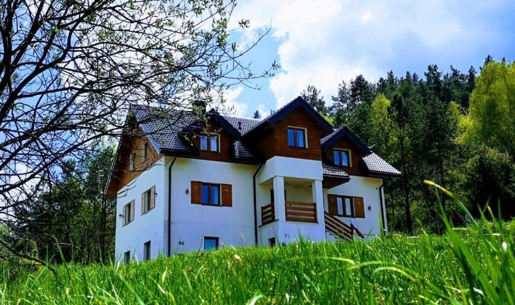 Ostoja Gromadzyn Appartement Ustrzyki Dolne Buitenkant foto